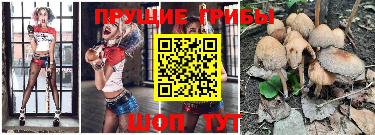 Псилоцибиновые грибы GOLDEN TEACHER  Вход с VPN  Набережные Челны 